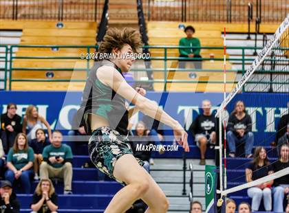 Thumbnail 3 in Douglas County @ Mountain Vista (CHSAA 5A Round 1) photogallery.