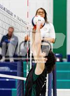 Photo from the gallery "Douglas County @ Mountain Vista (CHSAA 5A Round 1)"