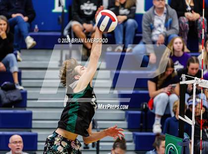 Thumbnail 3 in Douglas County @ Mountain Vista (CHSAA 5A Round 1) photogallery.