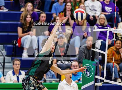 Thumbnail 3 in Douglas County @ Mountain Vista (CHSAA 5A Round 1) photogallery.