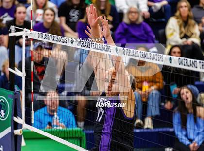 Thumbnail 3 in Douglas County @ Mountain Vista (CHSAA 5A Round 1) photogallery.