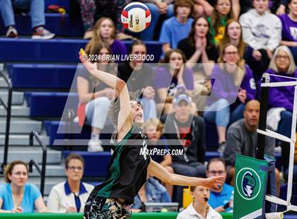 Thumbnail 1 in Douglas County @ Mountain Vista (CHSAA 5A Round 1) photogallery.