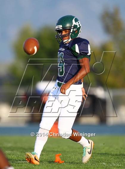 Thumbnail 3 in West @ Copper Hills photogallery.