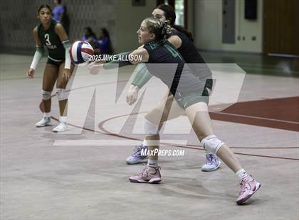 Thumbnail 1 in Rhea County @ Baylor photogallery.