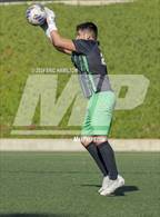 Photo from the gallery "Segerstrom @ Santa Barbara"