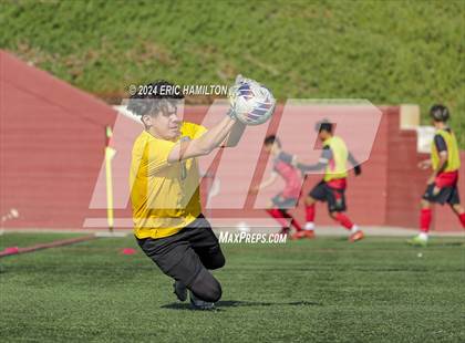 Thumbnail 2 in Segerstrom @ Santa Barbara photogallery.