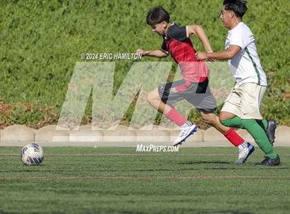 Thumbnail 3 in Segerstrom @ Santa Barbara photogallery.