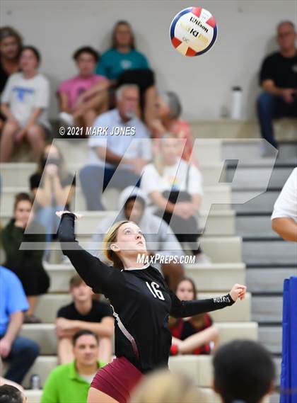 Thumbnail 2 in O'Connor vs. Hamilton photogallery.
