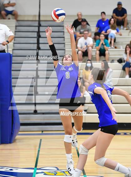 Thumbnail 3 in O'Connor vs. Hamilton photogallery.