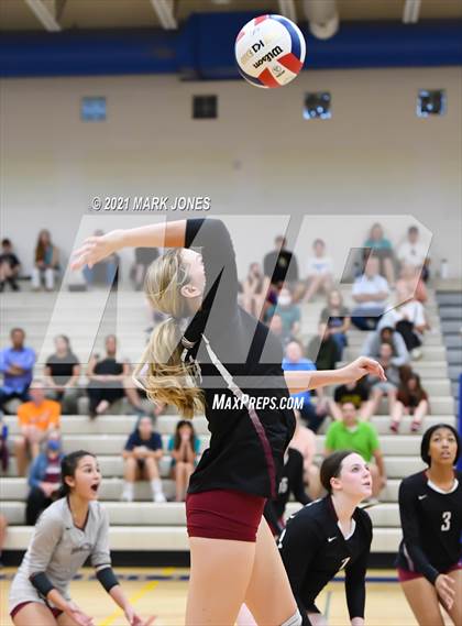 Thumbnail 3 in O'Connor vs. Hamilton photogallery.