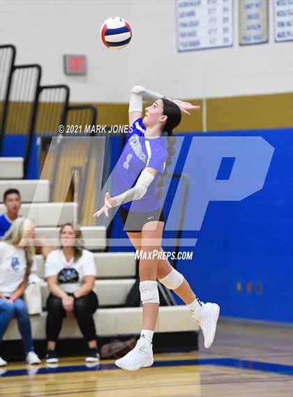 Thumbnail 1 in O'Connor vs. Hamilton photogallery.
