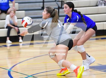 Thumbnail 2 in O'Connor vs. Hamilton photogallery.