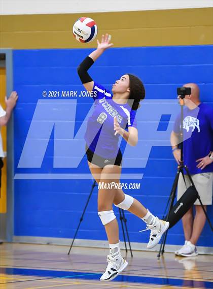 Thumbnail 1 in O'Connor vs. Hamilton photogallery.