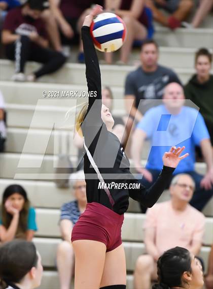 Thumbnail 2 in O'Connor vs. Hamilton photogallery.