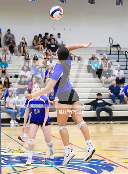 Thumbnail 2 in O'Connor vs. Hamilton photogallery.