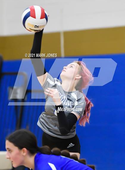 Thumbnail 1 in O'Connor vs. Hamilton photogallery.