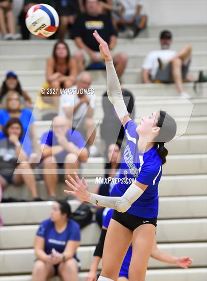 Thumbnail 1 in O'Connor vs. Hamilton photogallery.