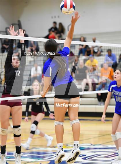 Thumbnail 1 in O'Connor vs. Hamilton photogallery.