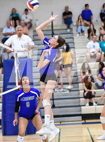 Thumbnail 3 in O'Connor vs. Hamilton photogallery.