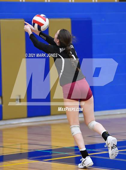Thumbnail 2 in O'Connor vs. Hamilton photogallery.