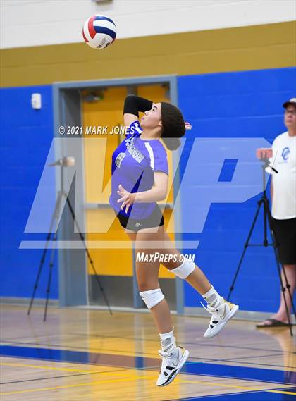 Thumbnail 2 in O'Connor vs. Hamilton photogallery.