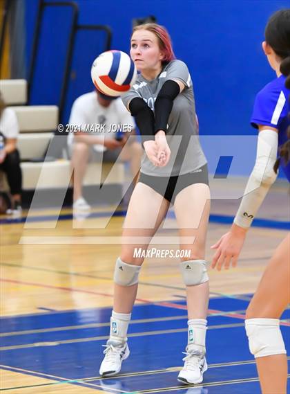 Thumbnail 2 in O'Connor vs. Hamilton photogallery.