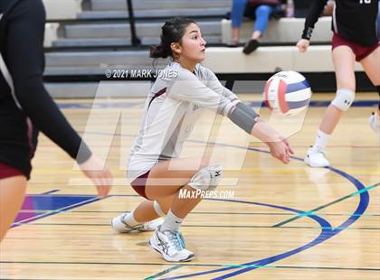 Thumbnail 1 in O'Connor vs. Hamilton photogallery.