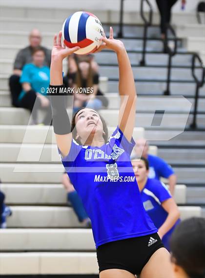 Thumbnail 3 in O'Connor vs. Hamilton photogallery.