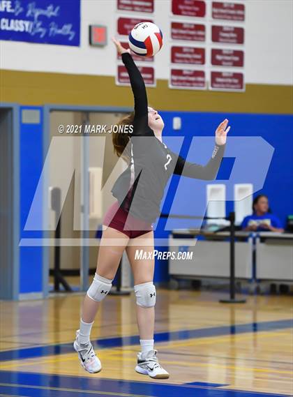 Thumbnail 2 in O'Connor vs. Hamilton photogallery.
