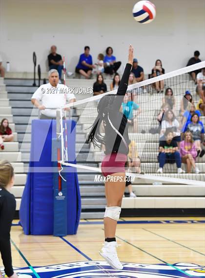 Thumbnail 1 in O'Connor vs. Hamilton photogallery.