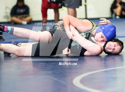 Thumbnail 3 in CIF Girls Wrestling Tournament photogallery.