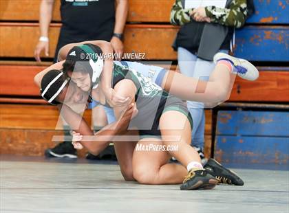 Thumbnail 1 in CIF Girls Wrestling Tournament photogallery.