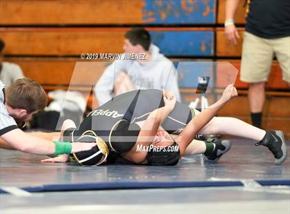 Thumbnail 3 in CIF Girls Wrestling Tournament photogallery.