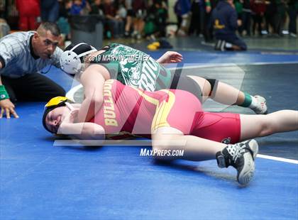 Thumbnail 2 in CIF Girls Wrestling Tournament photogallery.