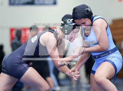 Thumbnail 2 in CIF Girls Wrestling Tournament photogallery.