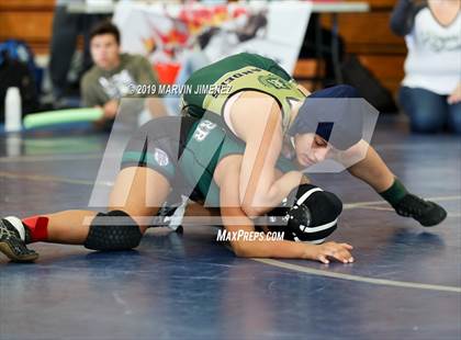 Thumbnail 3 in CIF Girls Wrestling Tournament photogallery.