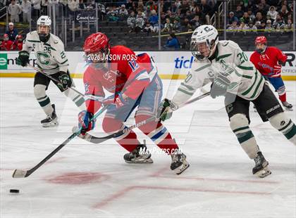 Thumbnail 2 in Tewksbury Memorial vs. Canton (MIAA D2 Finals) photogallery.