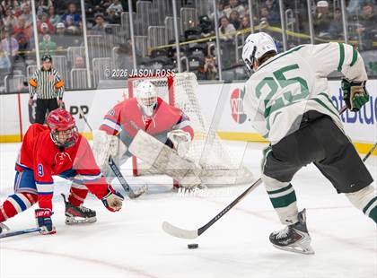 Thumbnail 3 in Tewksbury Memorial vs. Canton (MIAA D2 Finals) photogallery.