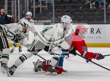 Thumbnail 1 in Tewksbury Memorial vs. Canton (MIAA D2 Finals) photogallery.