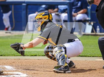 Thumbnail 1 in Edison @ Bullard photogallery.