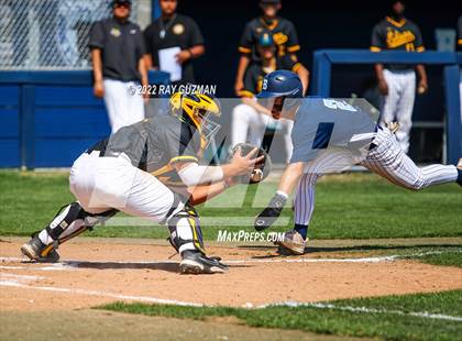 Thumbnail 1 in Edison @ Bullard photogallery.