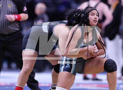 Thumbnail 1 in CHSAA State Championship - Girls' Finals photogallery.