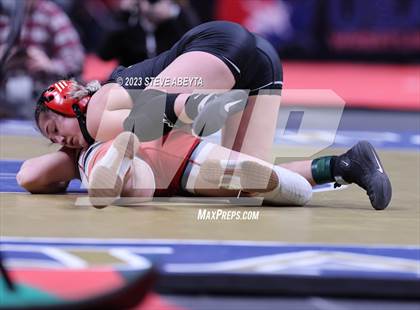 Thumbnail 3 in CHSAA State Championship - Girls' Finals photogallery.