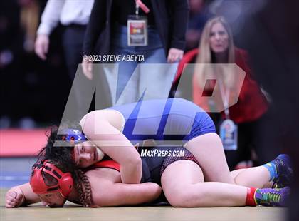 Thumbnail 3 in CHSAA State Championship - Girls' Finals photogallery.