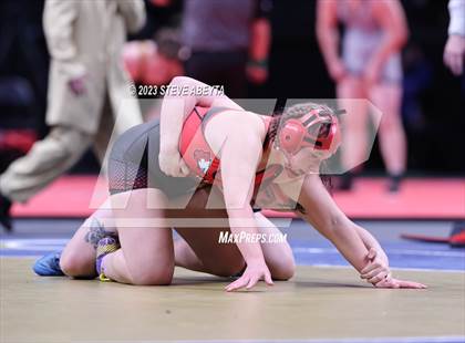 Thumbnail 3 in CHSAA State Championship - Girls' Finals photogallery.
