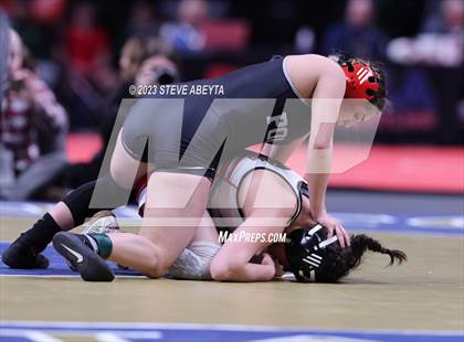 Thumbnail 1 in CHSAA State Championship - Girls' Finals photogallery.