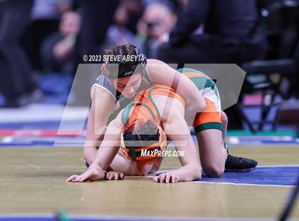 Thumbnail 2 in CHSAA State Championship - Girls' Finals photogallery.