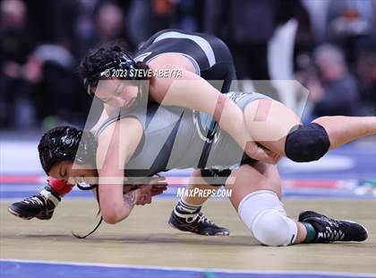 Thumbnail 3 in CHSAA State Championship - Girls' Finals photogallery.