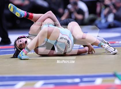 Thumbnail 2 in CHSAA State Championship - Girls' Finals photogallery.