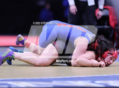 Thumbnail 2 in CHSAA State Championship - Girls' Finals photogallery.